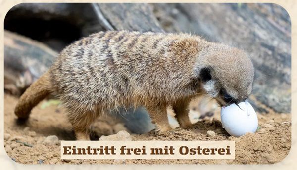 Serengeti Park: Eintritt frei mit Osterei für Kinder bis 12 Jahre am 20.04.2025