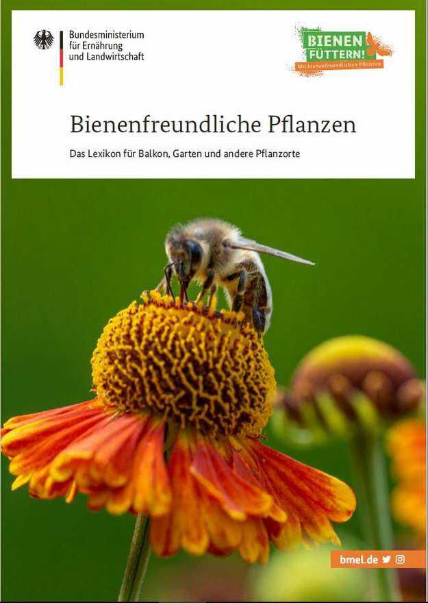 Gratis Bienenfreundliches Pflanzen   Lexikon / über 100 Pflanzen Das Lexikon für Balkon, Garten und andere Pflanzenorte