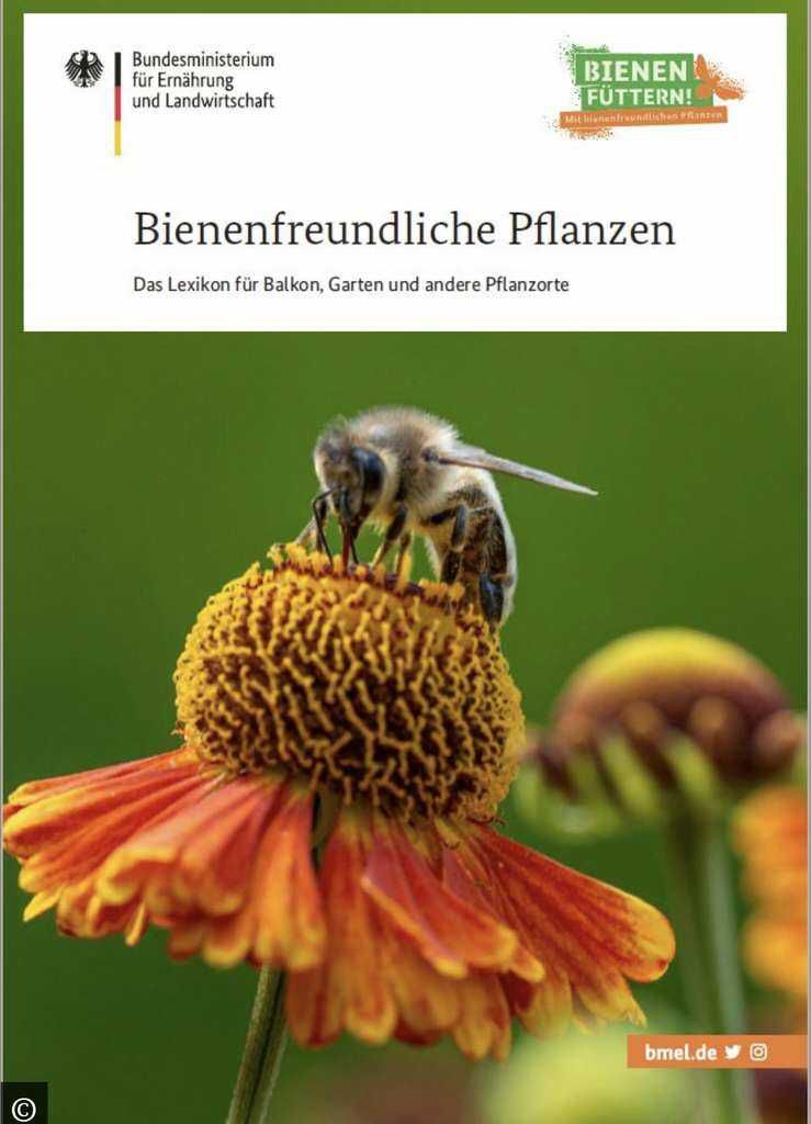 Gratis   Bienenfreundliche Pflanzen   Das Lexikon für Balkon, Garten und andere Pflanzenorte [BMEL]