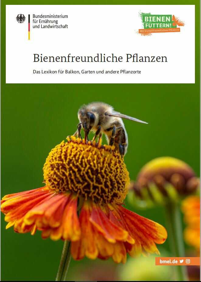 Gratis   Bienenfreundliche Pflanzen   Das Lexikon für Balkon, Garten und andere Pflanzenorte