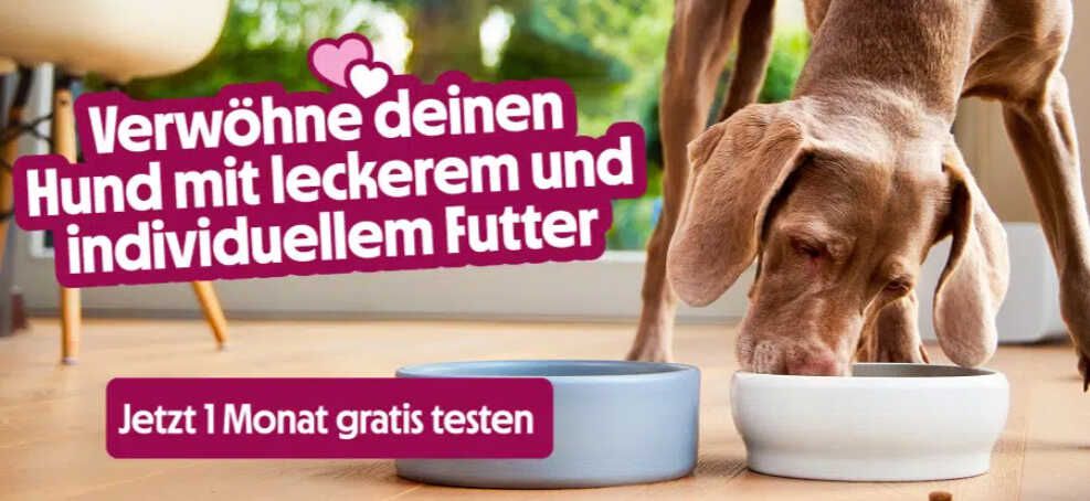 tails.com: 4 Wochen kostenloses Trockenfutter für Hunde (+ 4€ Versand